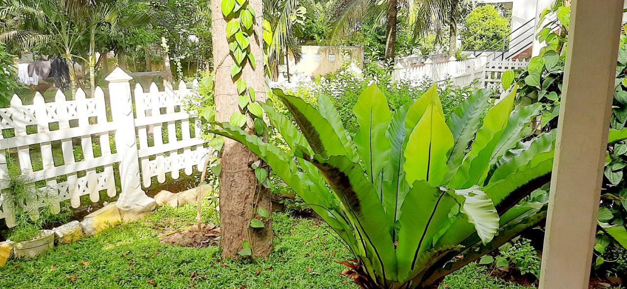 Hiriketiya Cinnamon Garden Dikwella Extérieur photo