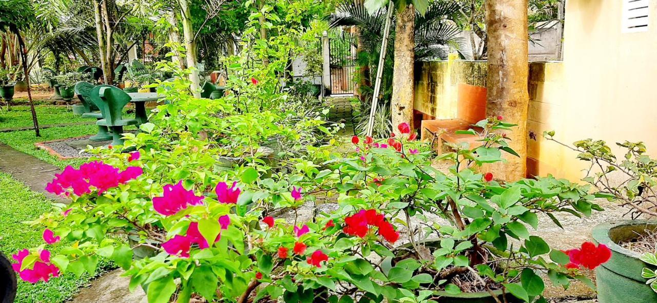 Hiriketiya Cinnamon Garden Dikwella Extérieur photo