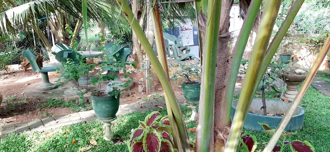 Hiriketiya Cinnamon Garden Dikwella Extérieur photo