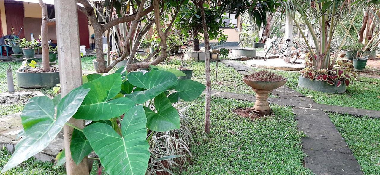 Hiriketiya Cinnamon Garden Dikwella Extérieur photo