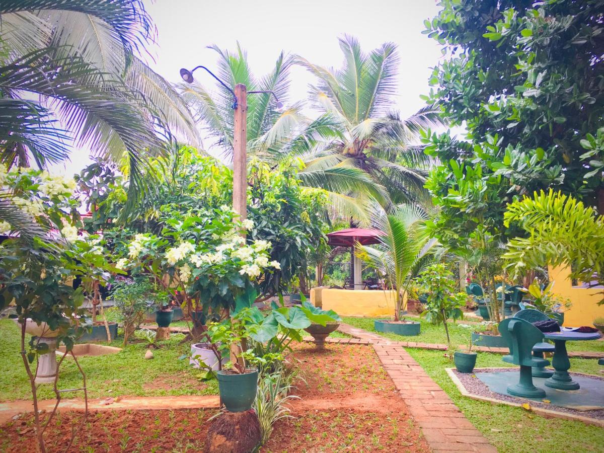 Hiriketiya Cinnamon Garden Dikwella Extérieur photo