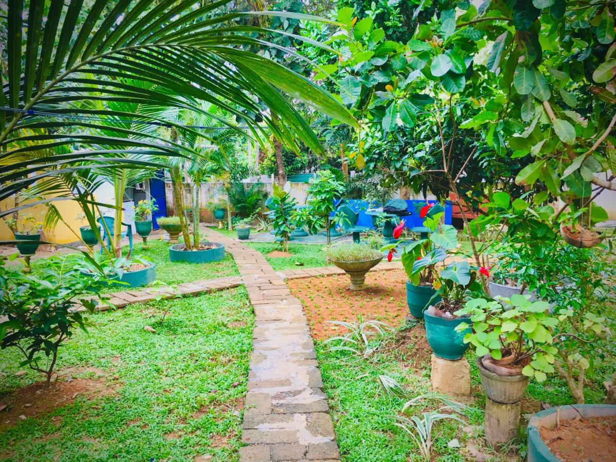 Hiriketiya Cinnamon Garden Dikwella Extérieur photo