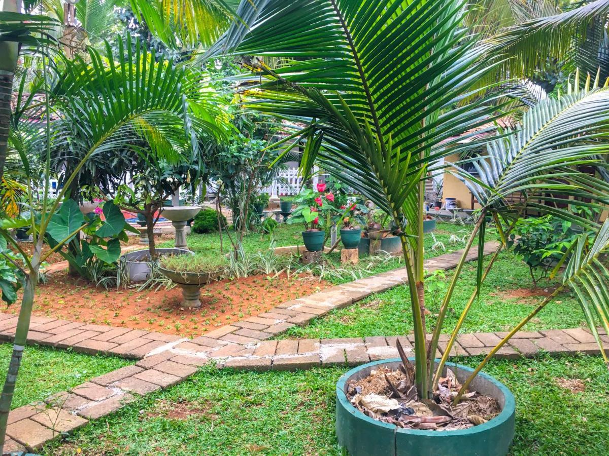 Hiriketiya Cinnamon Garden Dikwella Extérieur photo